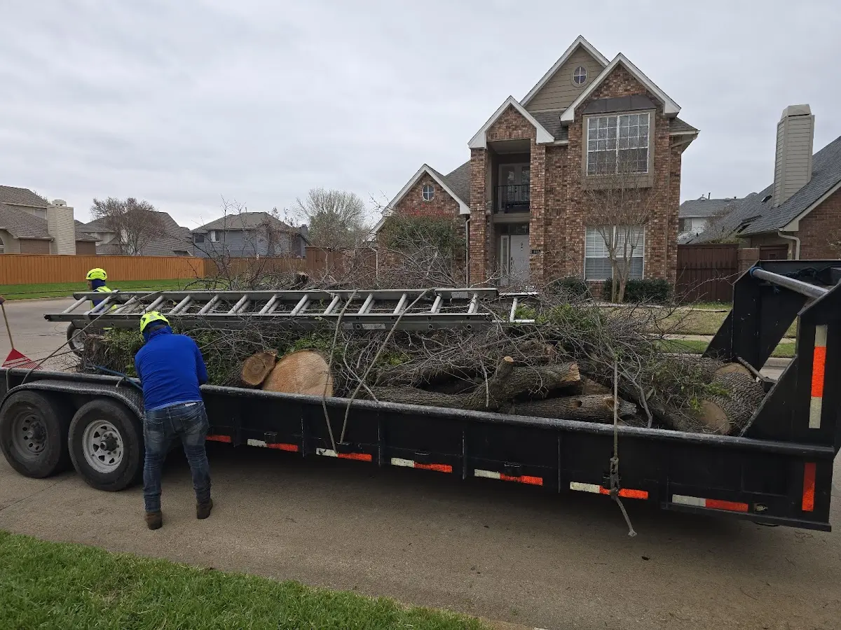 Expert Tree Pest Control with proper safety equipment in Loretto